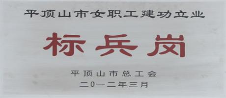 平頂山市女職工建功立業標兵崗