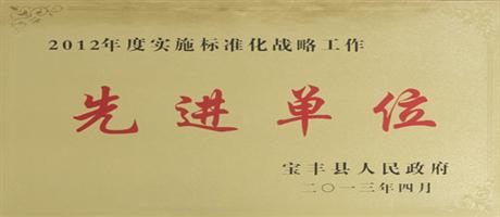 2012年度實施標準化戰(zhàn)略工作先進單位