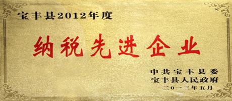 寶豐縣2012年度納稅先進企業(yè)