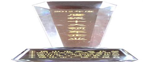 212年度鷹城十大領軍企業