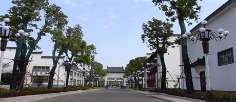 賈湖酒業廠區主干道