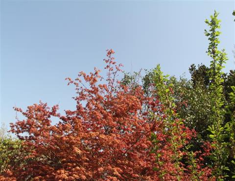 廠區一角（七）                                           