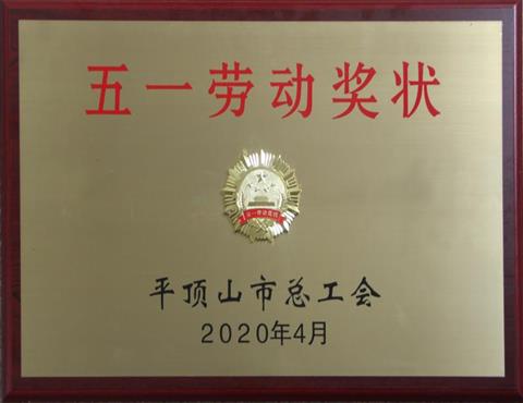 河南省大地水泥有限公司榮獲 “平頂山市五一勞動(dòng)獎(jiǎng)狀”榮譽(yù)                      