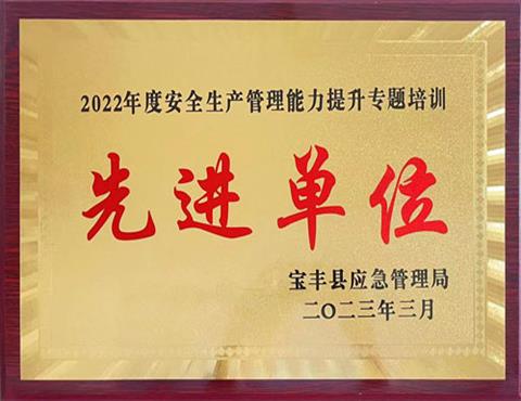 安全生產(chǎn)管理能力提升專題培訓(xùn)先進(jìn)單位                                