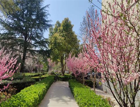 生產區一角（10）                                         